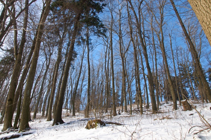 silvestrovsky vystup na marhat 2014 7