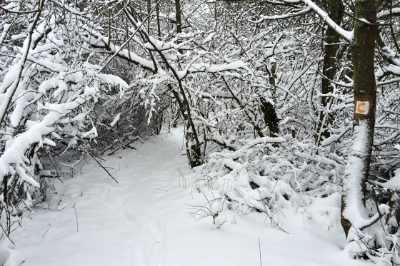 sneh piestany foto slavo tomik 4